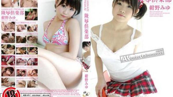 神风经典 66 2684